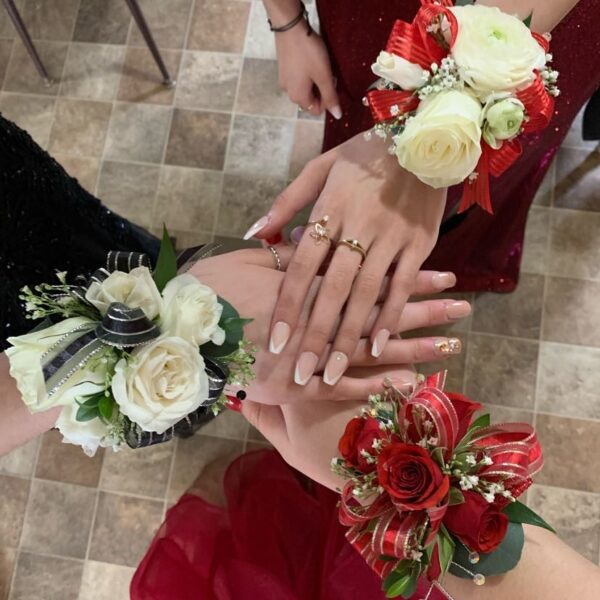 IMG 0170 Copy