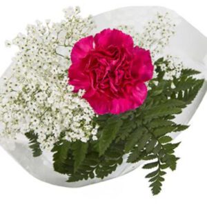 Single Carnation Arrangement