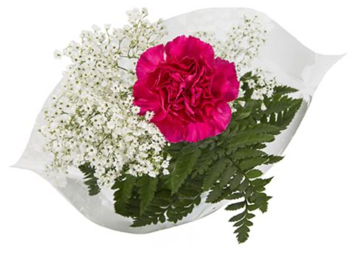 Single Carnation Arrangement