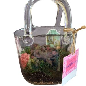 Glass Purse Terrarium